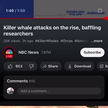 I guess when the animals start attacking you wicked people they all have to die right? then what?