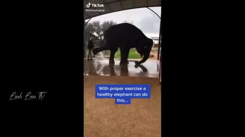 Best funny 😂 video please like my videos..... keep smile every moment of my