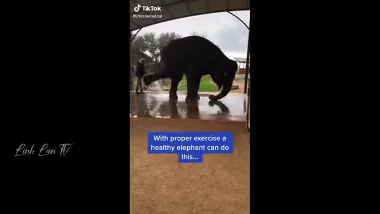 Best funny 😂 video please like my videos..... keep smile every moment of my