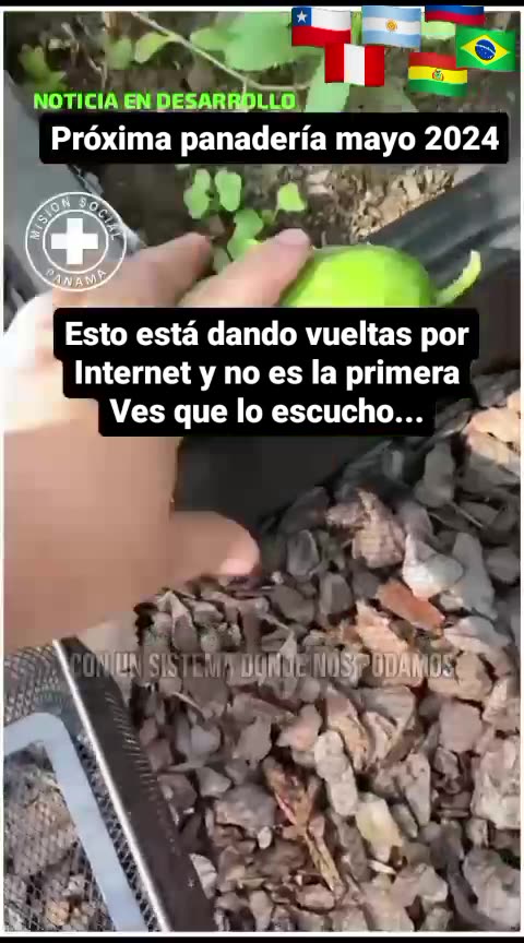 Nuevos encierros ? en 2024 ? vacunas