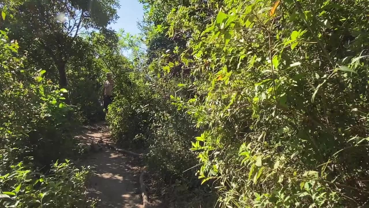 3/19 - Explorando a Trilha do Morro do Macaco em Bombinhas: Uma Experiência Imersiva! #bombinhas