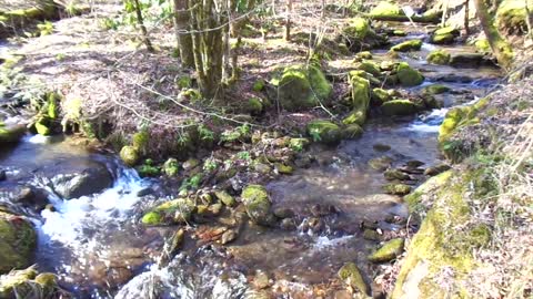 A Mountain River number 3