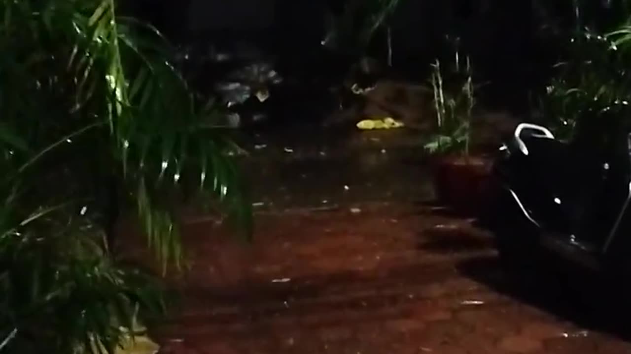 Scary thunderstorm and heavy rain natural video.