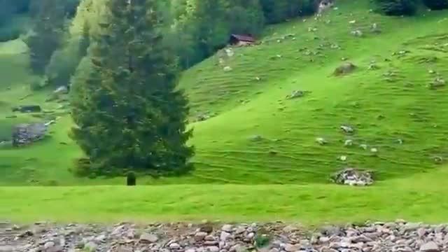 Switzerland