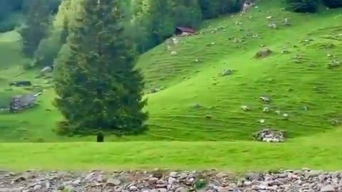 Switzerland