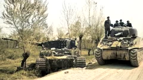 Tiger I in Colour_Cut