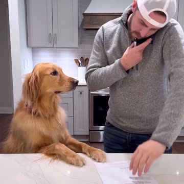 Teddy took my house!