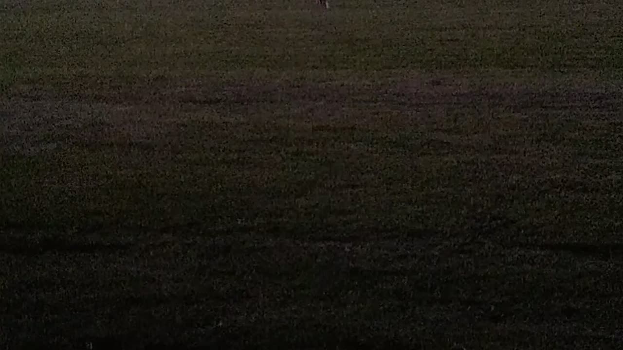 Night Golf Retriever
