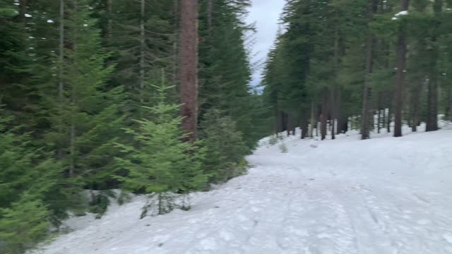 Climbing Up Very Thick Snow – Potato Hill Sno-Park – Central Oregon – 4K