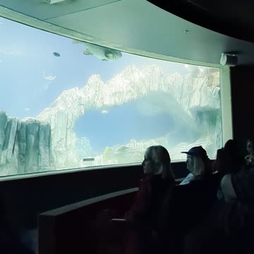 Even More from the aquarium