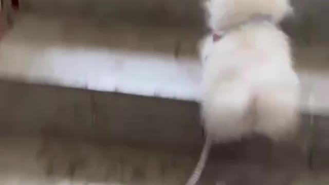 run faster than me