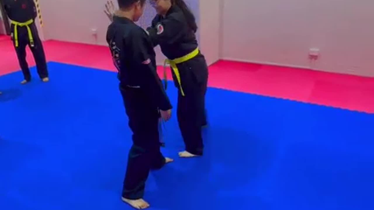 Hapkido