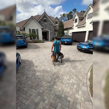 The benefits of having a pet!