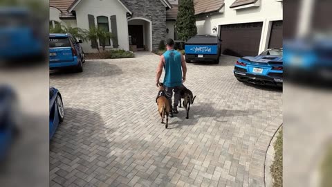 The benefits of having a pet!