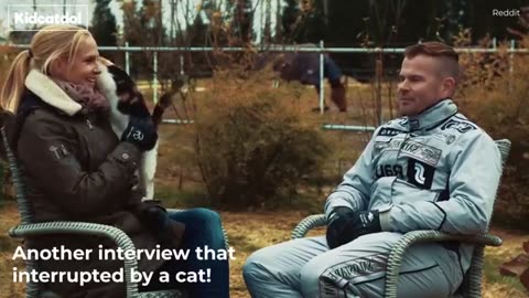 Cat interrupt live interviews