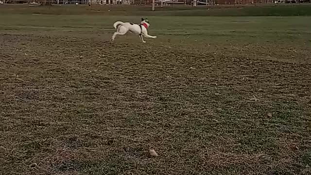 Everest playing keep away