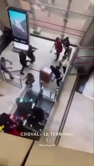 Chaos erupts at a Paris airport as undocumented individuals attempt to halt a deportation process.