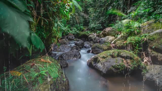 Rain Sounds for Sleeping and Relaxation