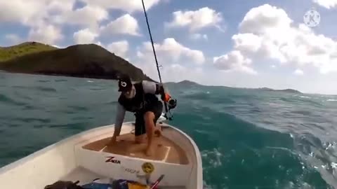 Funny animals
