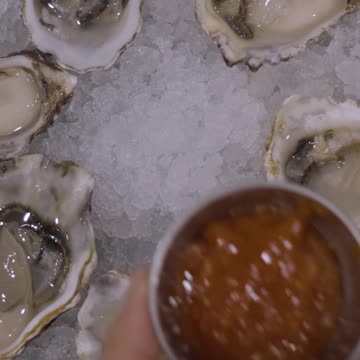 Oyster Love