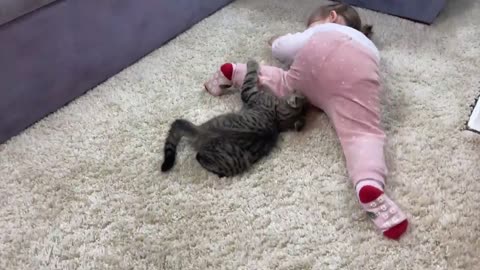 What Does a Kitten do When a Baby Dances Funny Video