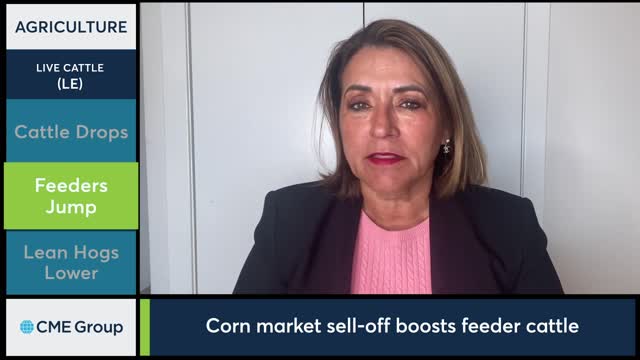 Livestock Market Commentary Virginia McGathey, 11222