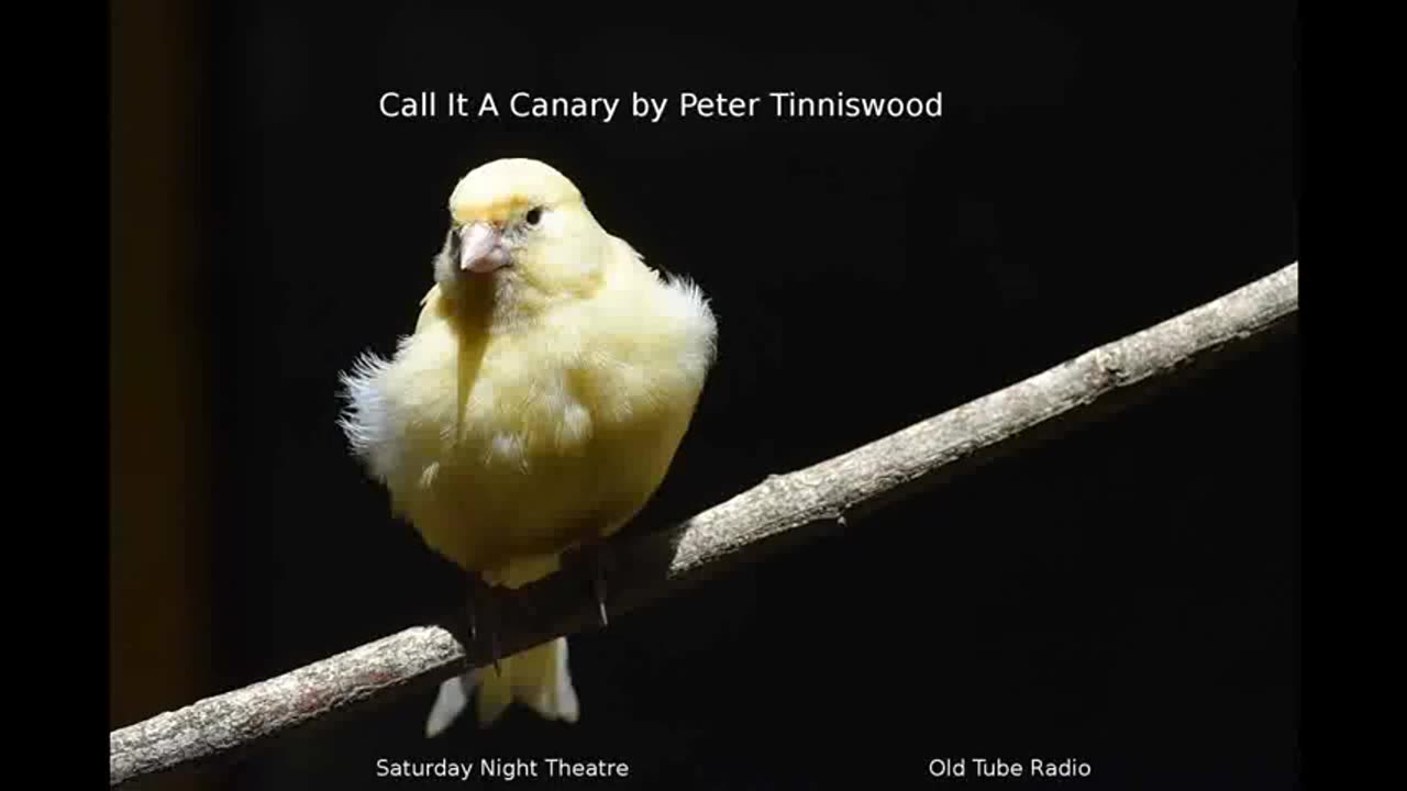 Call it a Canary by Peter Tinniswood