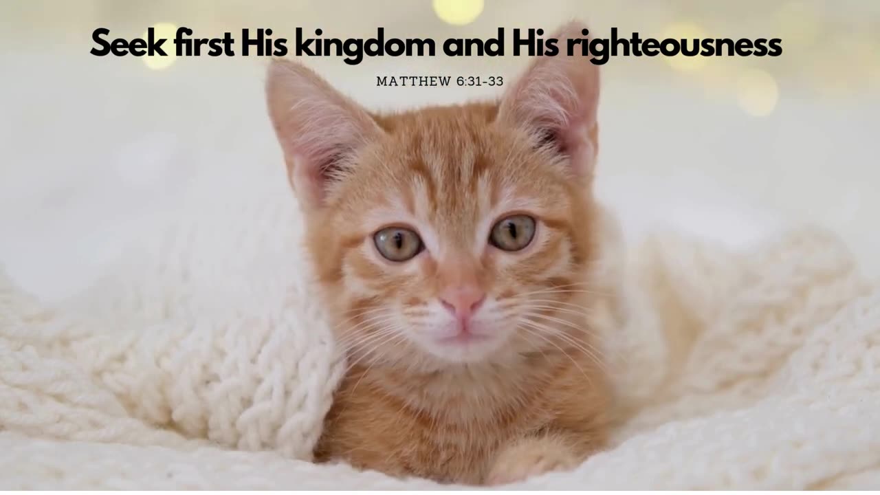 Seek His Kingdom