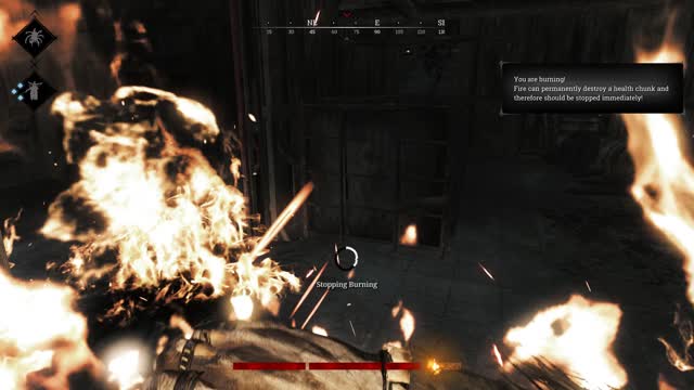 Human Torch