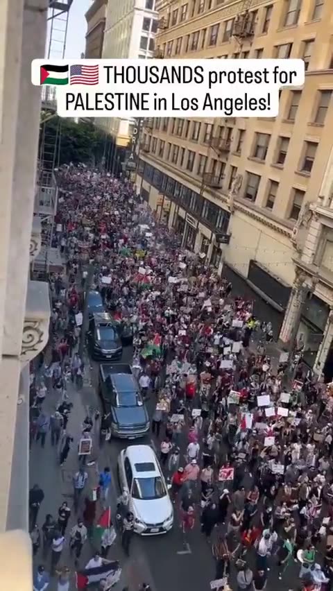 PROTESTS FOR PALESTINE