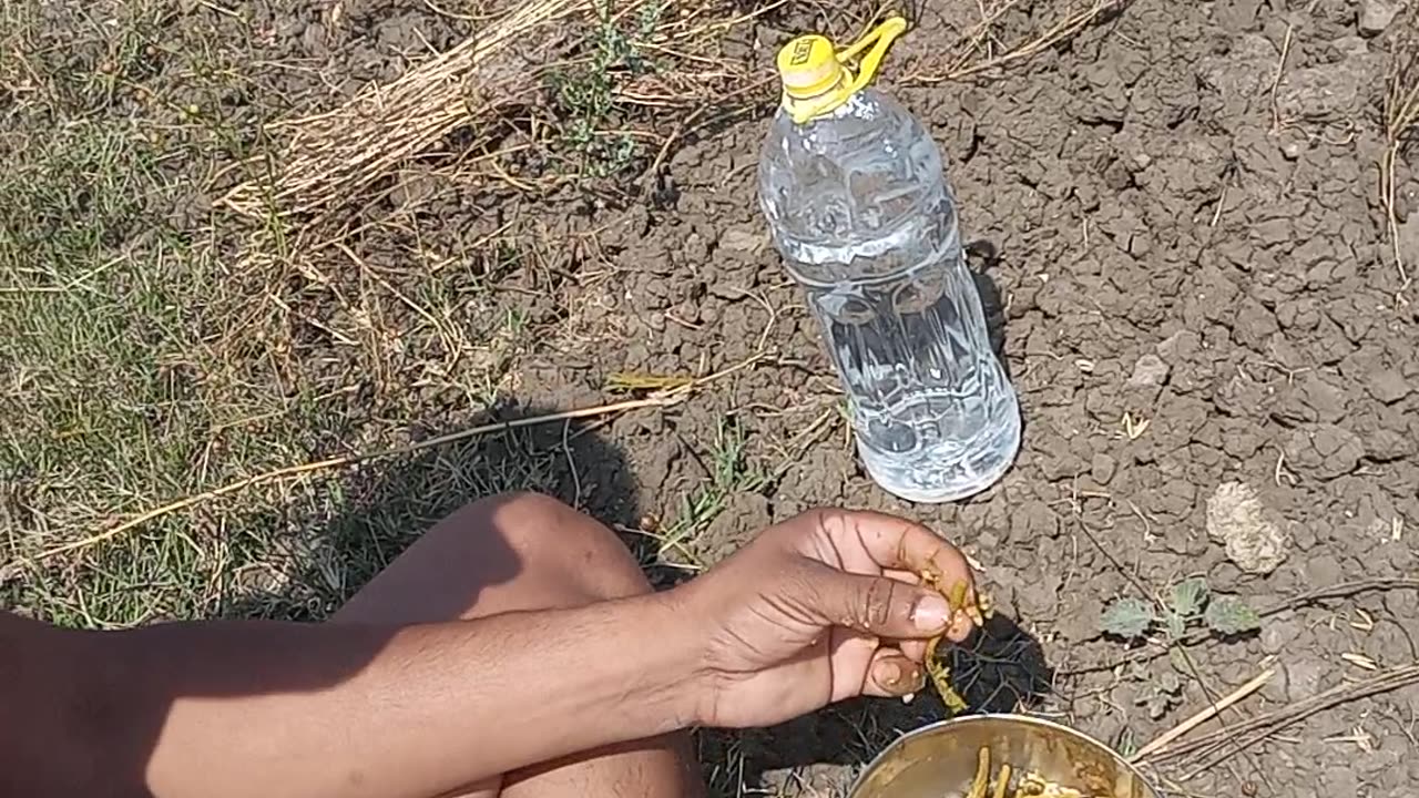 Farmer