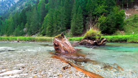 Birds Singing And Water Sounds - Relaxing Nature Sounds