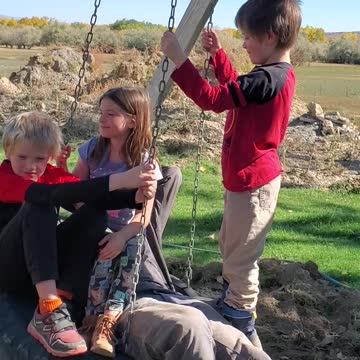 dog piling a swing