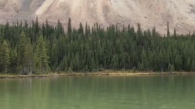 Peaceful Rain on a Mountain Lake