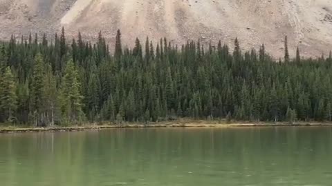 Peaceful Rain on a Mountain Lake