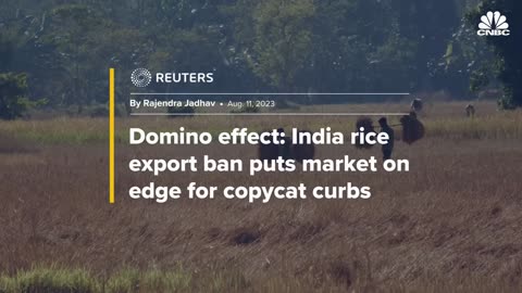 Why Rice Markets Are In Crisis Mode