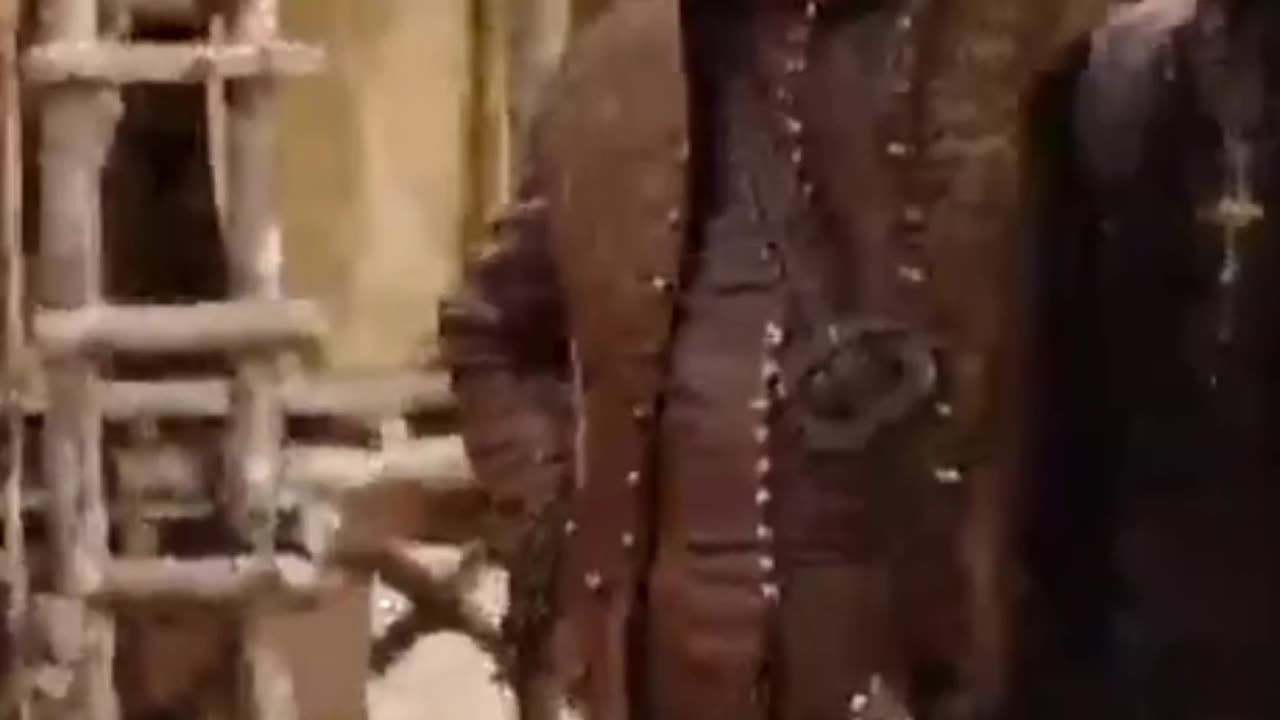 The Complicated Ladies of Paris: A Daring Encounter