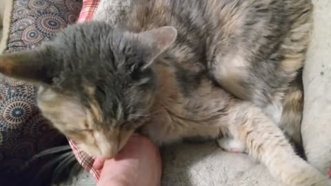 Echo Sucking My Finger and Jasmine Licking Me