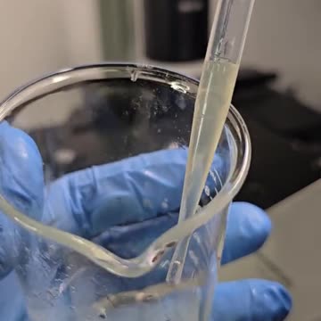 Does Pineapple Kill Parasites?