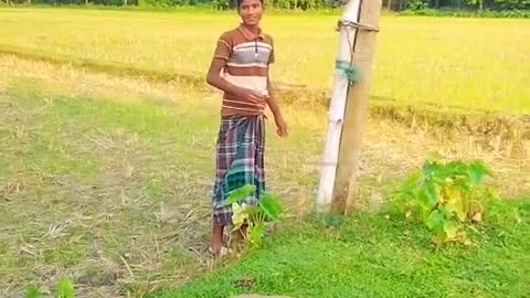 Funny video