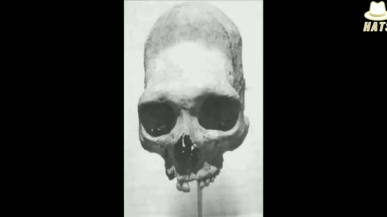 WHY THE COVER-UP OF THE ANCIENT NEPHILIM GIANTS???