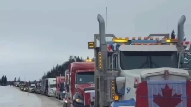 REAL Apolitical News/End of Days Discussion Freedom Convoy SE 2/3/22