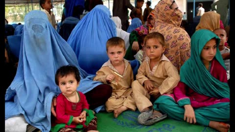 How many Afghans have left Pakistan so far Data continues