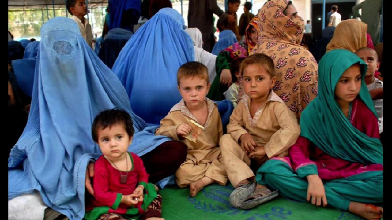 How many Afghans have left Pakistan so far Data continues