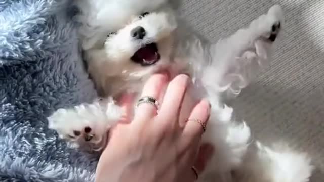 Lying on the couch in the sun together