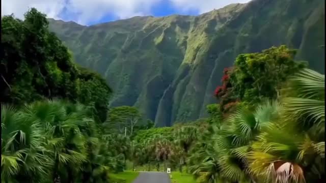 Natural Beauty Of Hawaii