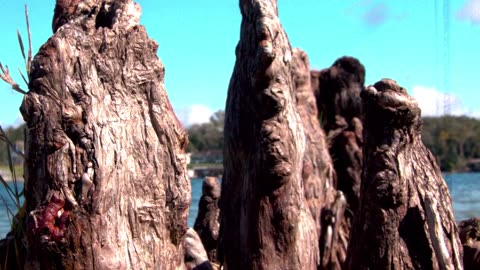 WakeFoil Follow the Leader