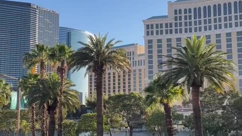 Las Vegas is a very artistic place, its scenery is always intoxicating