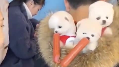 Cutest baby animals compilation.