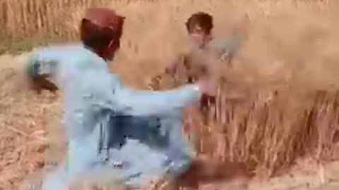 Fany video